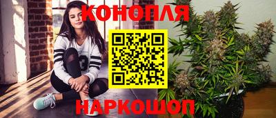 гидропоника Тара