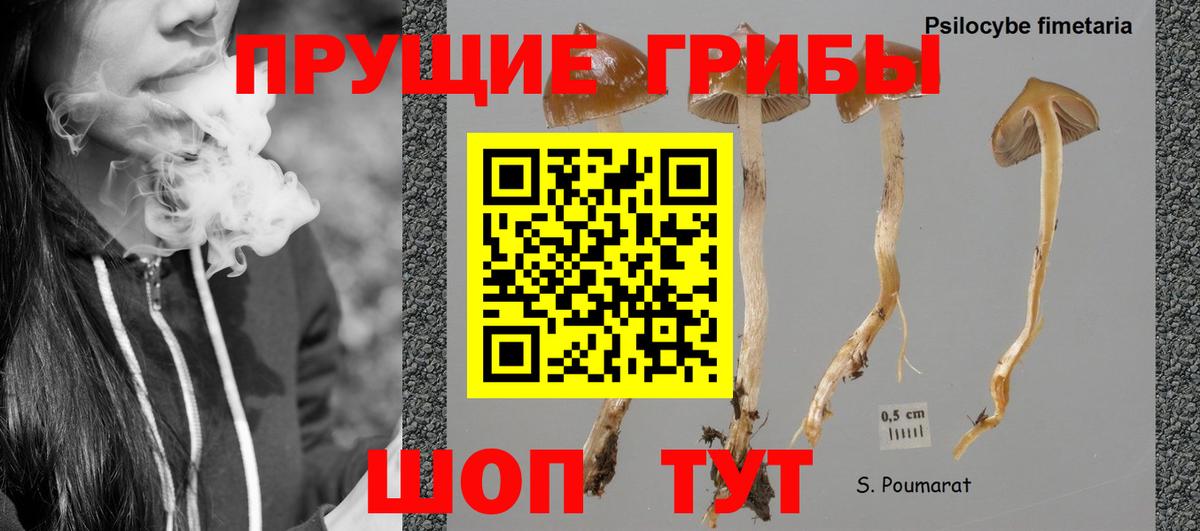 Псилоцибиновые грибы прущие грибы Новоалтайск
